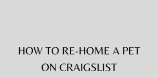 How to Re-home a Pet on Craigslist